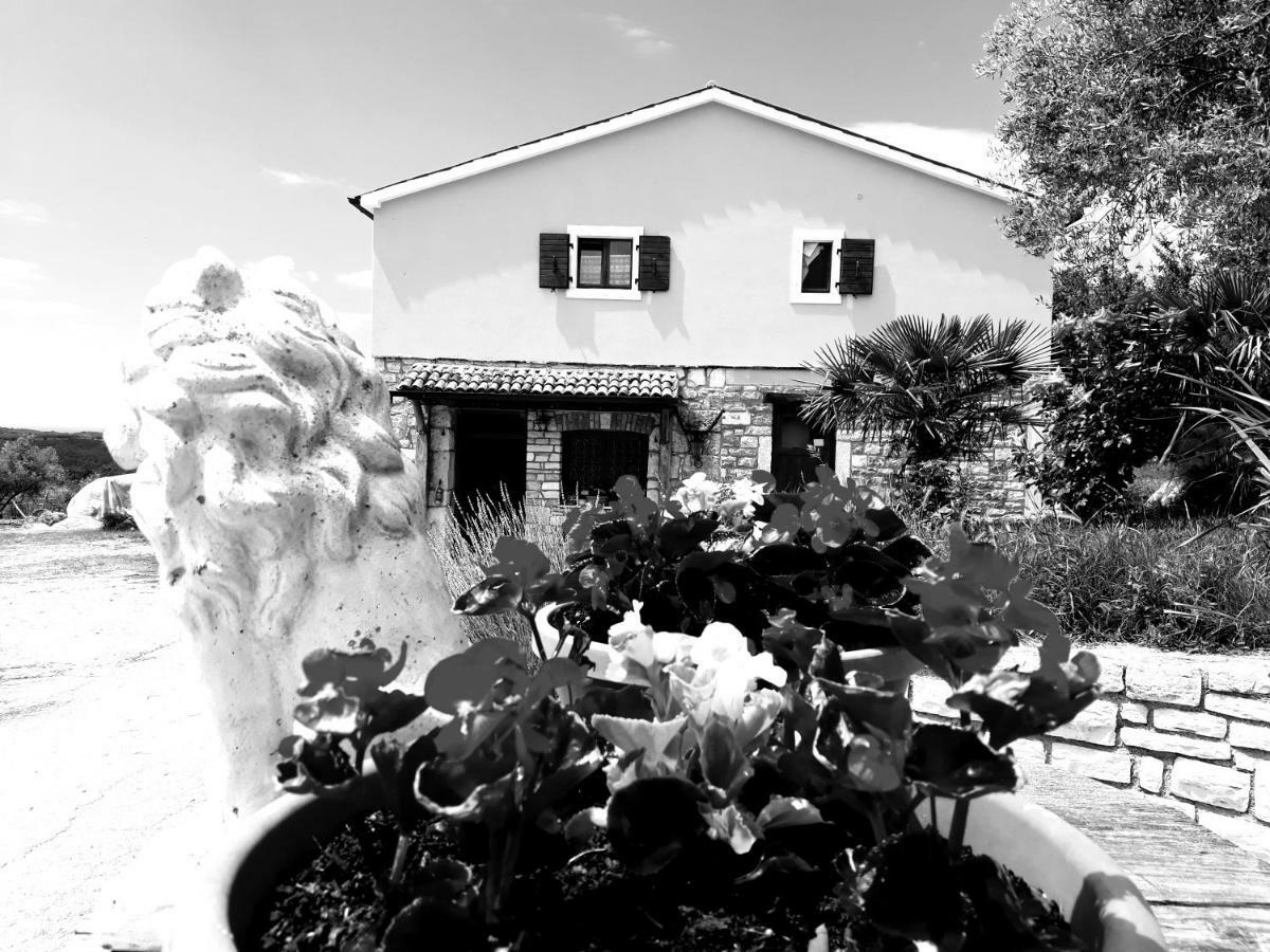 Rooms Agroturizam Romano Бує Екстер'єр фото